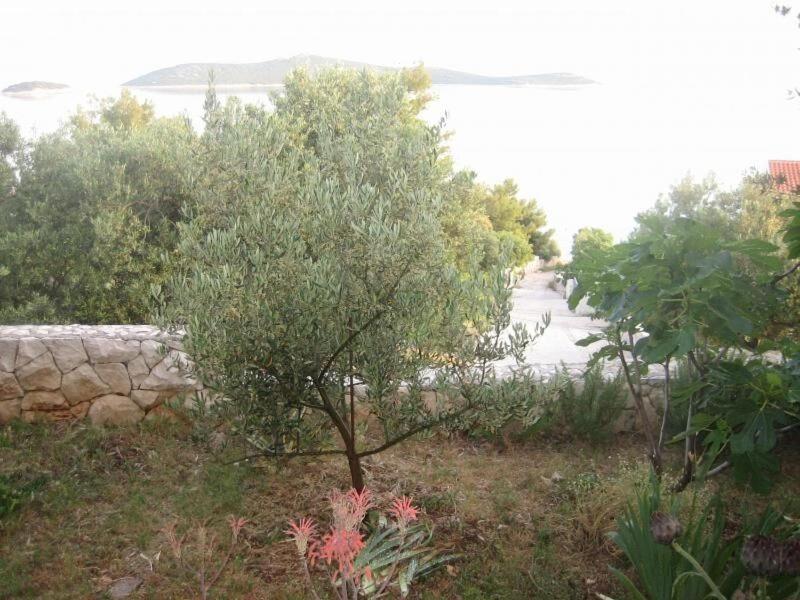Apartments Mil - 80M From The Sea Sevid Esterno foto